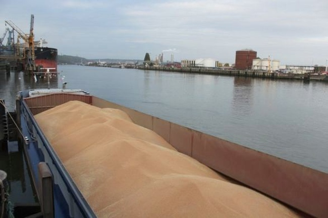 У Туреччині сподіваються на збільшення обсягів експорту зерна з портів Одещини
