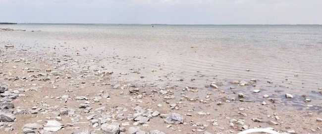 Порятунок Катлабуху і Китаю: рівень води в озерах Одещини поступово зростає