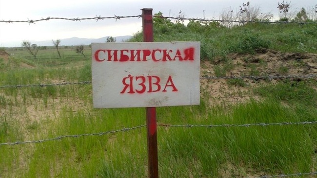 В Одесской области закрыли на карантин село из-за подозрения вспышки "сибирской язвы"
