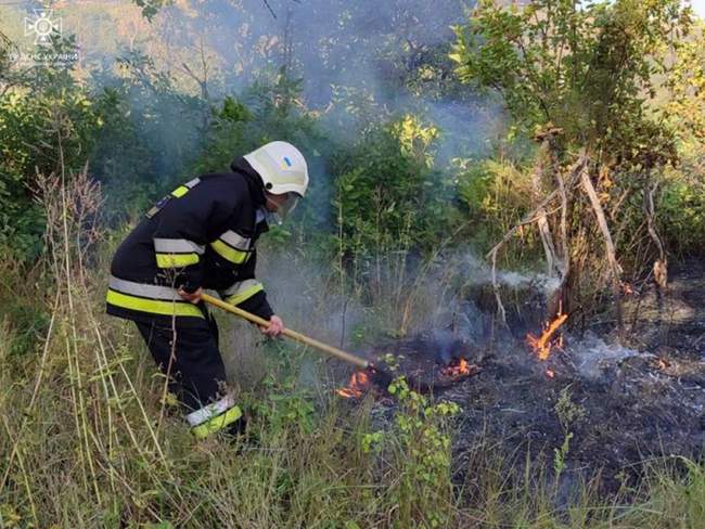 Фото: ДСНС України у Миколаївській області