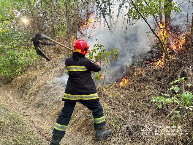 Фото: ДСНС УКраїни