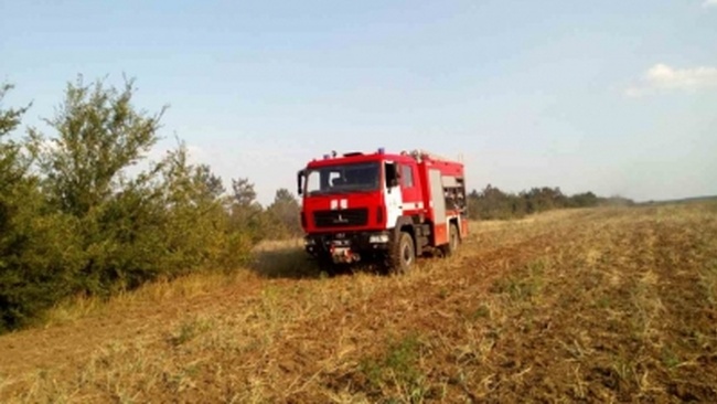 До ліквідації загорання лісу в Одеській області задіяли спецлітак