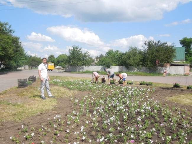 Депутати Сумської міськради звітують про клумби та роздавання продуктових наборів