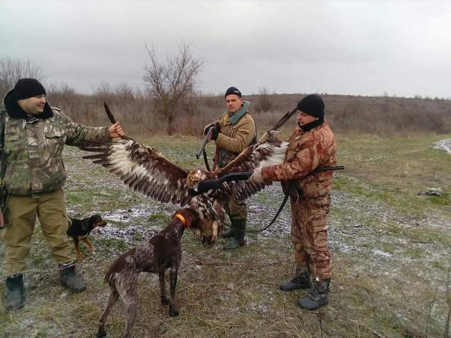 В поліції почали розслідування через фото співробітників на полюванні з вбитим червонокнижним птахом