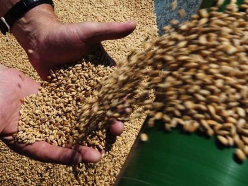 У США, ЄС та Британії обурені заявами росії про розірвання "зернової угоди"