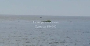 Одеський еколог прокоментував інформацію про "нечистоти" в Южному з Херсонщини