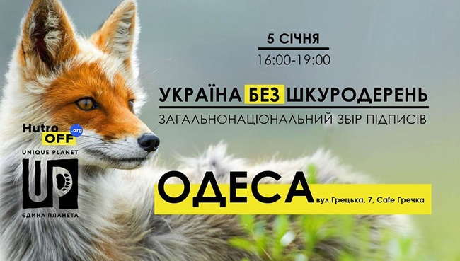 Одесса против меха: горожан приглашают подписаться за запрет живодерен