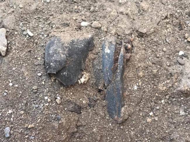 Археологи знайшли перші рештки жертв масових розстрілів в Одесі
