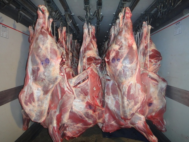 Одесский зоопарк купит говядины почти на три миллиона