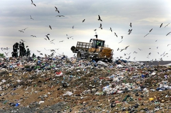 Глава ОГА поручил подчиненным найти решение «мусорной» проблемы региона до 5 июня