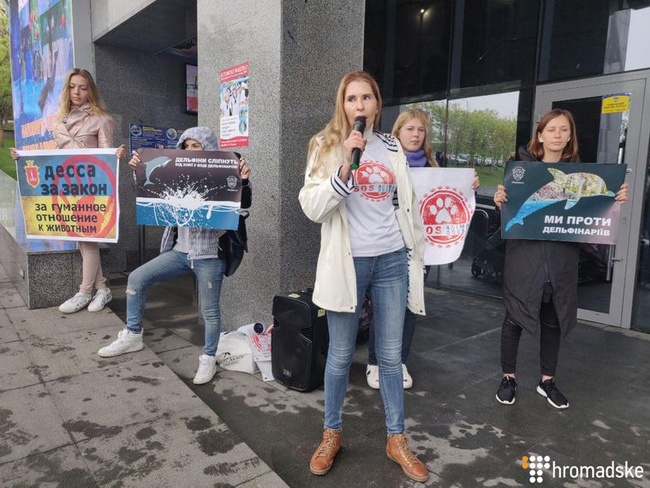 Одесский дельфинарий: протестующие заявляют о жестоком обращении с животными, а бизнесмены - что спасли их от консервных заводов