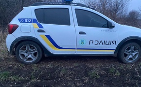 На Одещині "чорний лісоруб" намагався підкинути поліцейським хабаря