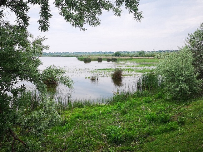 Фото: Danube Delta