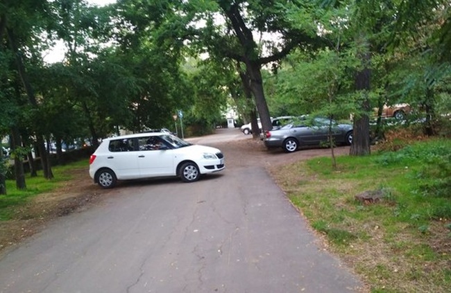 Департамент муниципальной безопасности не будет препятствовать парковке в парке Шевченко