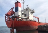 Експорт зерна з портів Одещини перевищив 6 мільйонів тонн