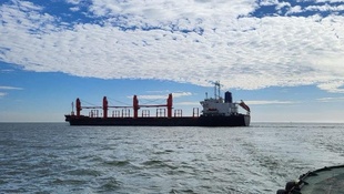 Стало відомо, скільки мільйонів тонн вантажів експортували з портів Великої Одеси
