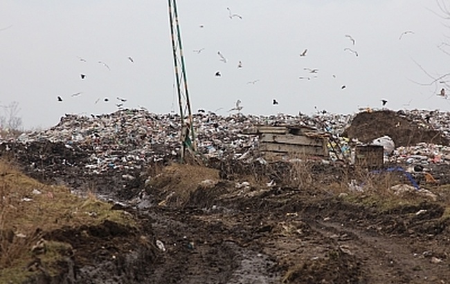 Одесские депутаты отказались принимать львовский мусор 