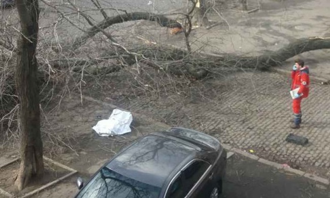 В Одессе упавшее дерево убило женщину, а в области без электричества 43 населенных пункта