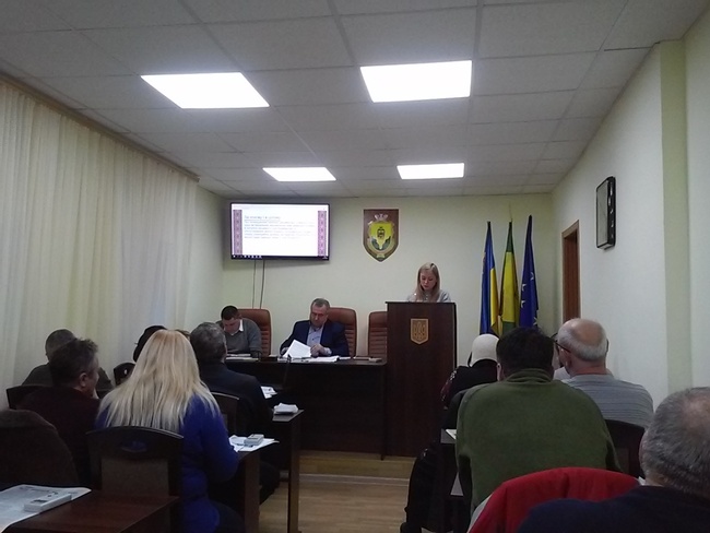 Більшість депутатів Роздільнянської міської ради опублікували звіти за 2018 рік