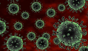 Количество инфицированных коронавирусом в Одесской области выросло на восемь человек
