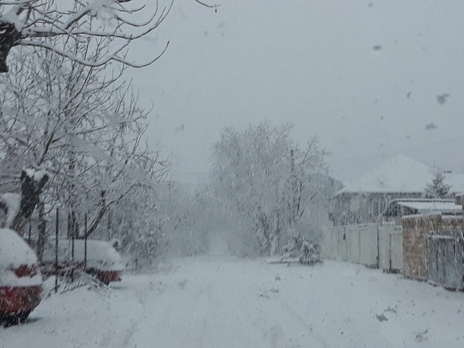 Утренний снегопад в Одессе не спровоцировал серьезных пробок