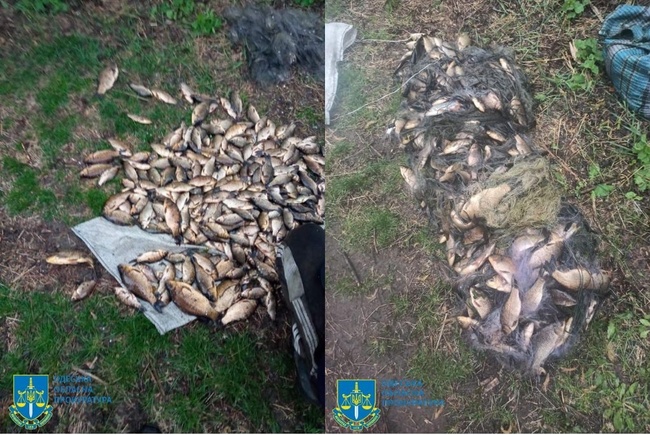 На Одещині судитимуть браконьєрів за вилов риби на 630 тисяч гривень