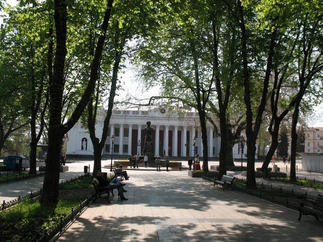 В Одессе забрали деньги с ряда проектов, чтобы бороться с вредителями растений