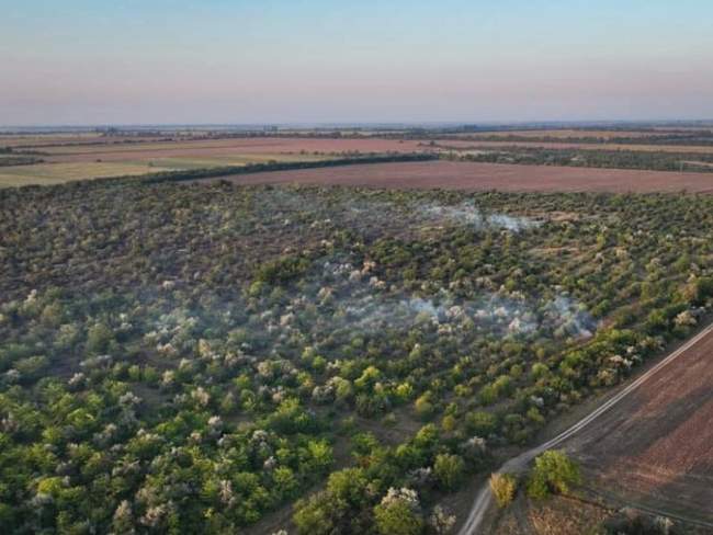 Фото: ДСНС України у Миколаївській області