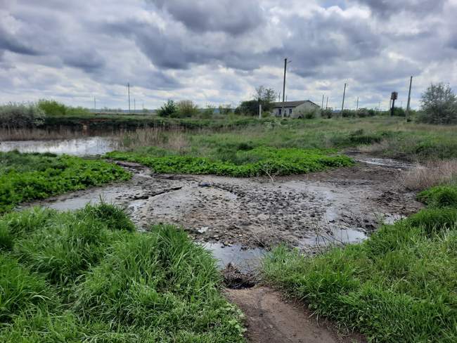 Фото: Держекоінспекція