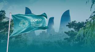 На кліматичному саміті COP29 росія намагалась легалізувати окупацію України