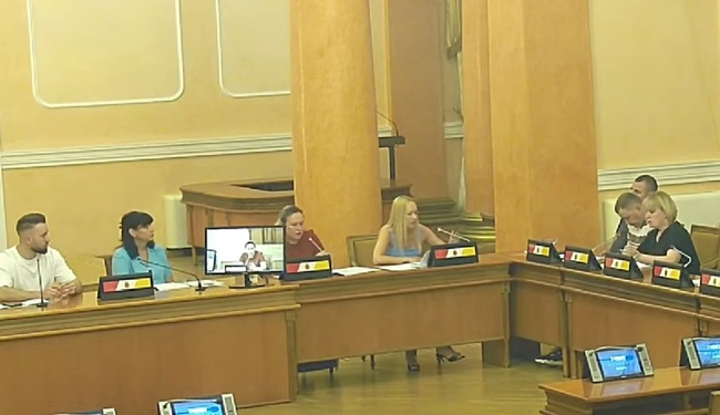 Засідання комісії з питань праці. Фото: скріншот з відео
