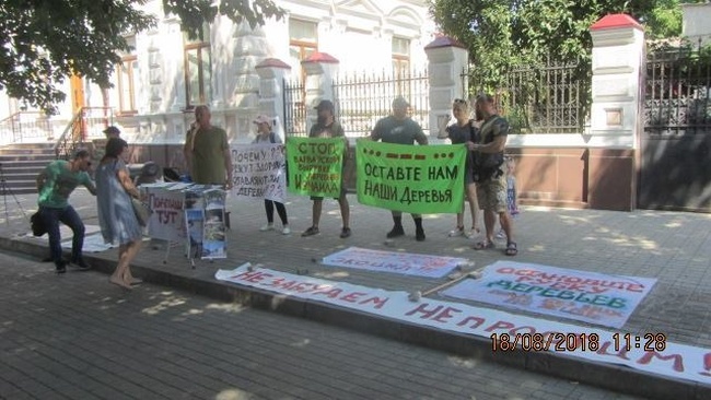 Измаильчане собирают подписи против уничтожения в городе здоровых деревьев