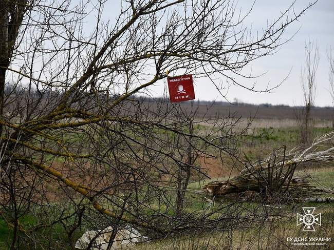 Фото: ДСНС України