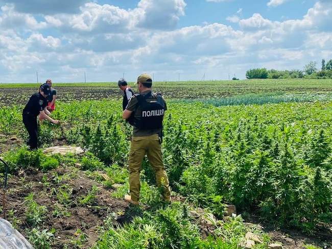 Фото: ГУ Нацполіції в Миколаївській області