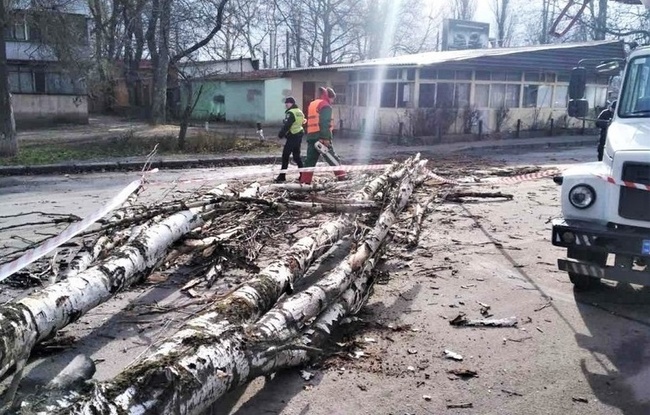 Шторм знеструмив 17 населених пунктів на Одещині та повалив 19 дерев в Одесі