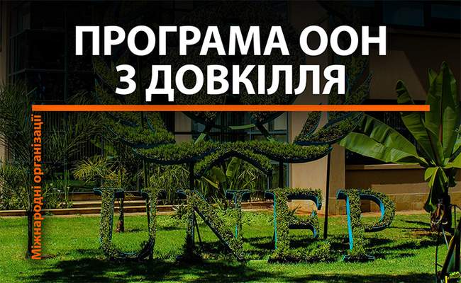 Міжнародні організації: Програма ООН з довкілля