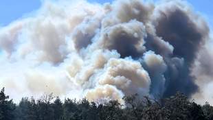 На Миколаївщині вирішили створити новий заповідник замість вигорілого