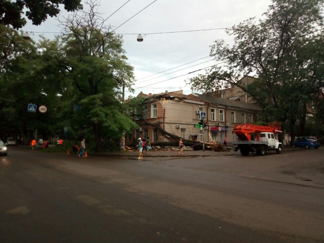 Ветер повалил в Одессе 17 деревьев: есть пострадавшие и частично остановлено движение электротранспорта
