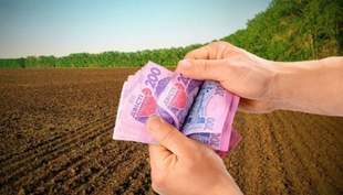 Hromadas in Mykolaiv Oblast receive record revenues for land