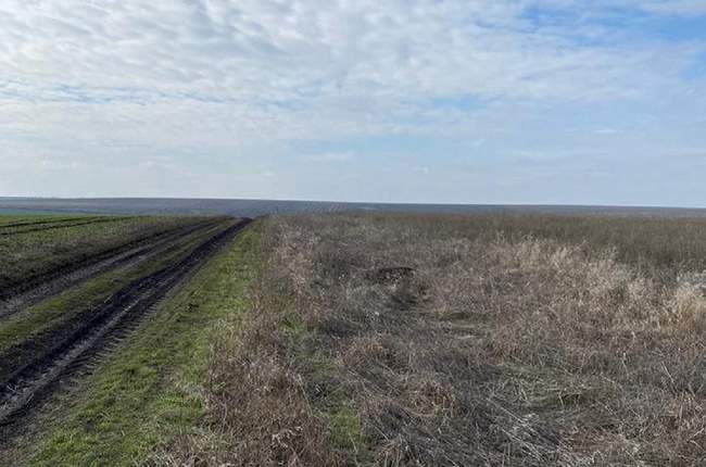 Фото: Одеська обласна прокуратура