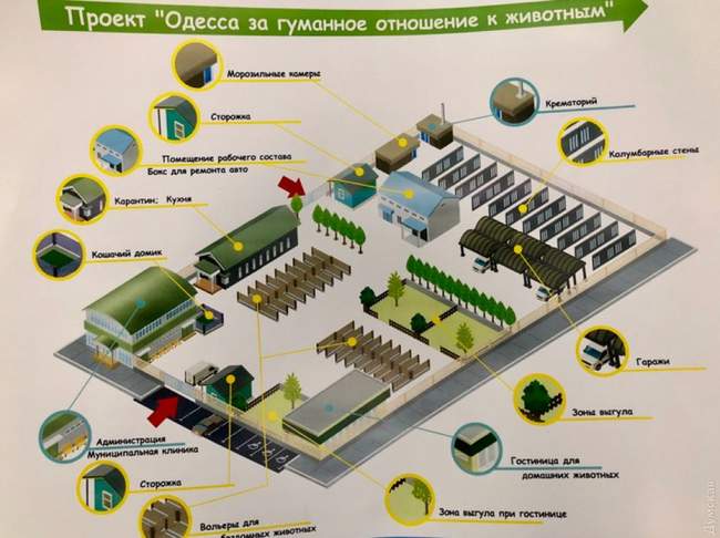 Одесским чиновникам поручили ускорить работу по обустройству крематория для домашних животных на Шестом километре