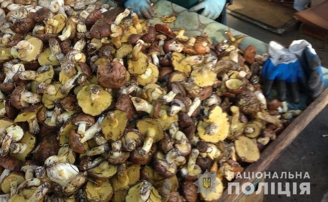Поліція Одещини перевіряє ринки через отруєння грибами