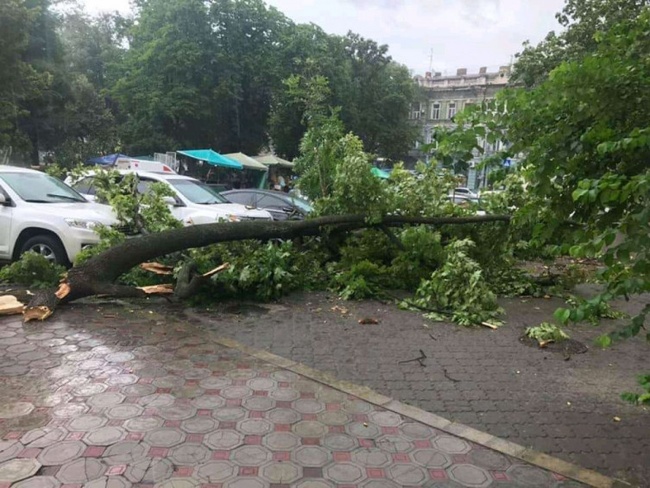 Торік в Одесі від падіння дерев та інших речей постраждали понад 200 автівок, а з початку 2020-го – майже 140